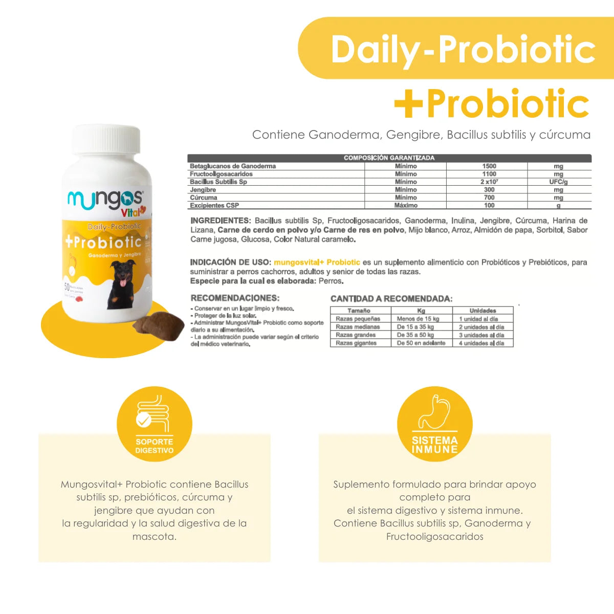Probióticos para perros - Salud intestinal