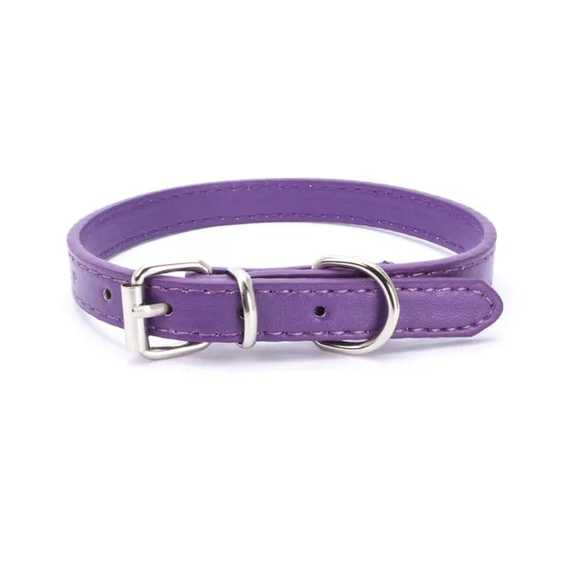 COLLAR CON EBILLA
