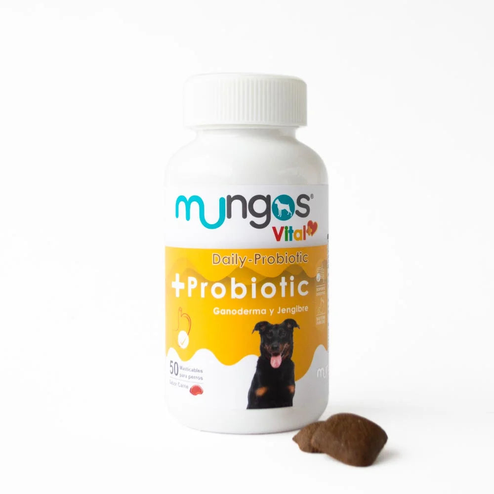 Probióticos para perros - Salud intestinal