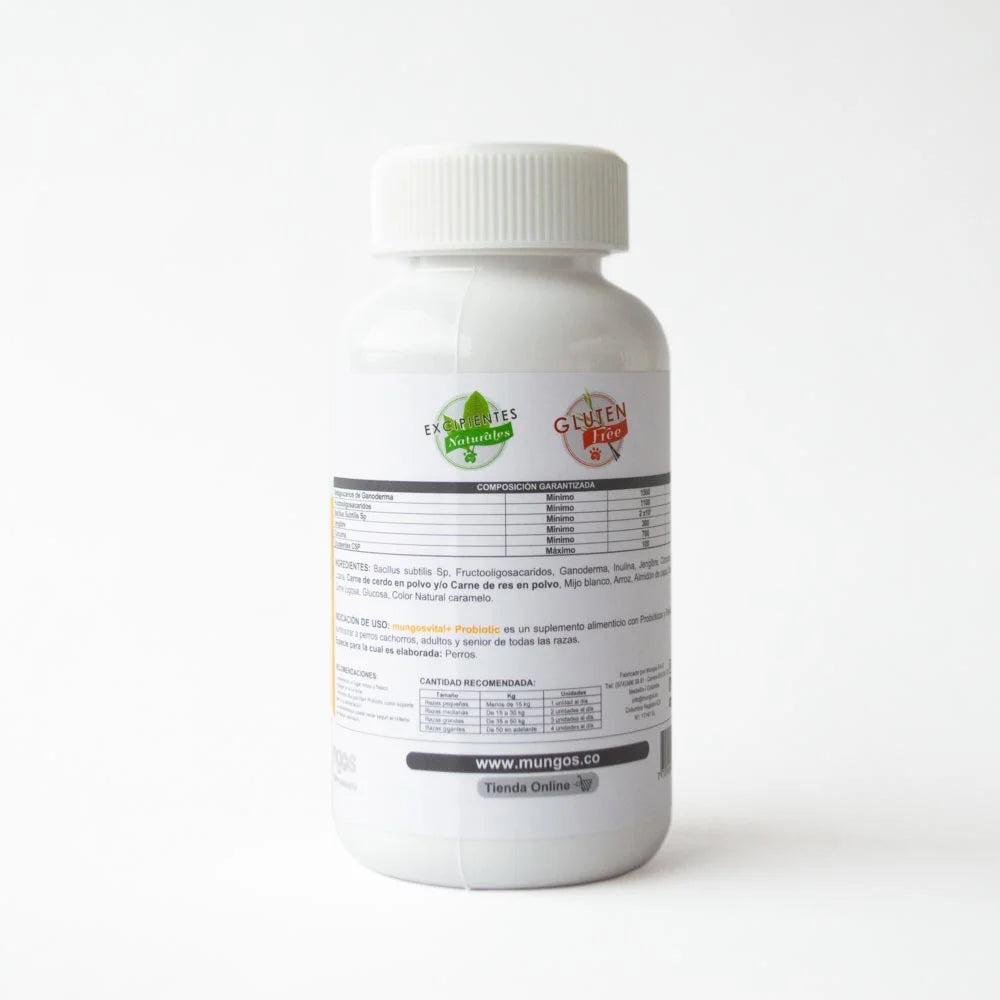Probióticos para perros - Salud intestinal
