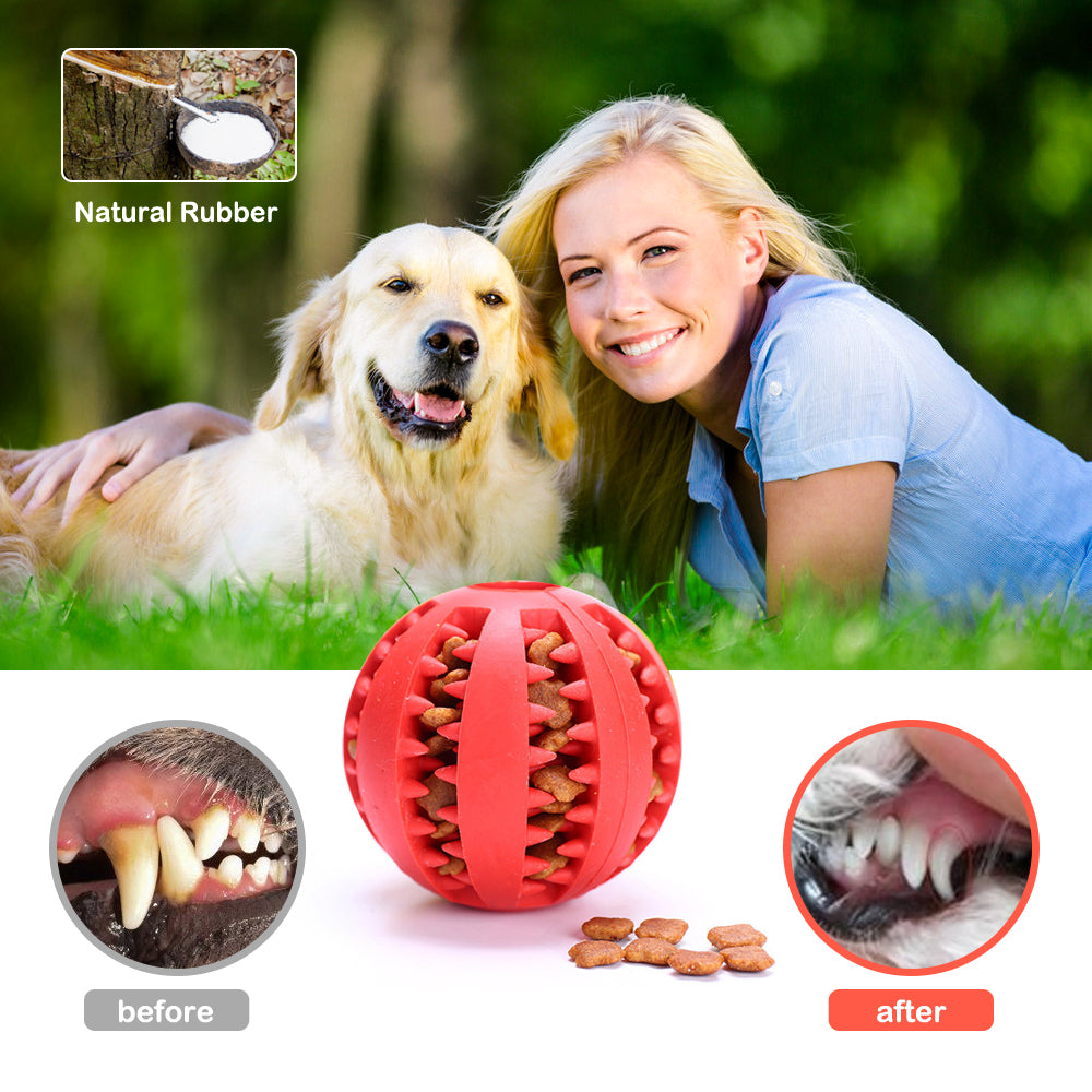 Pelota Limpia Dientes Interactiva