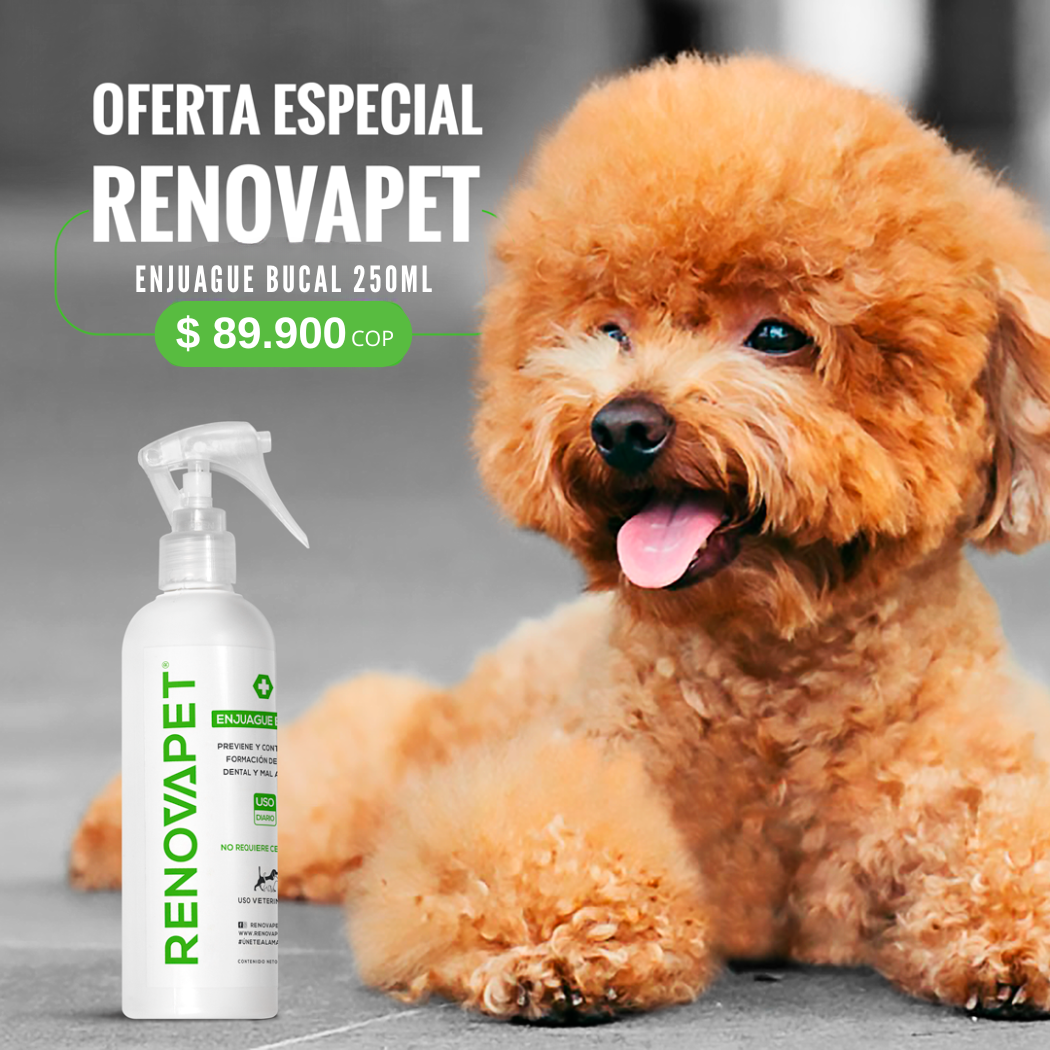 RENOVAPET ADIOS SARRO