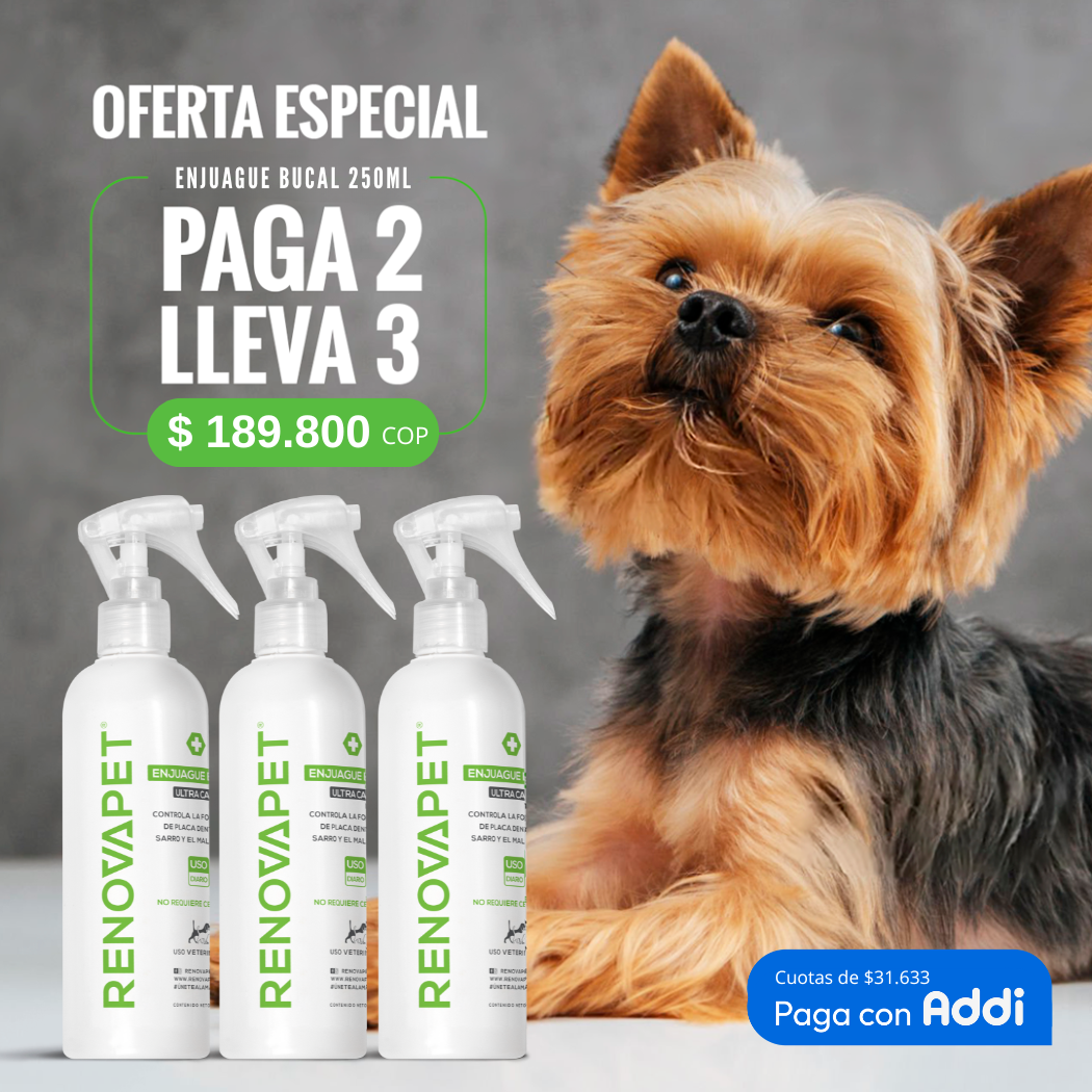 KIT PAGA 2 RENOVAPET BUCAL Y LLEVA 3