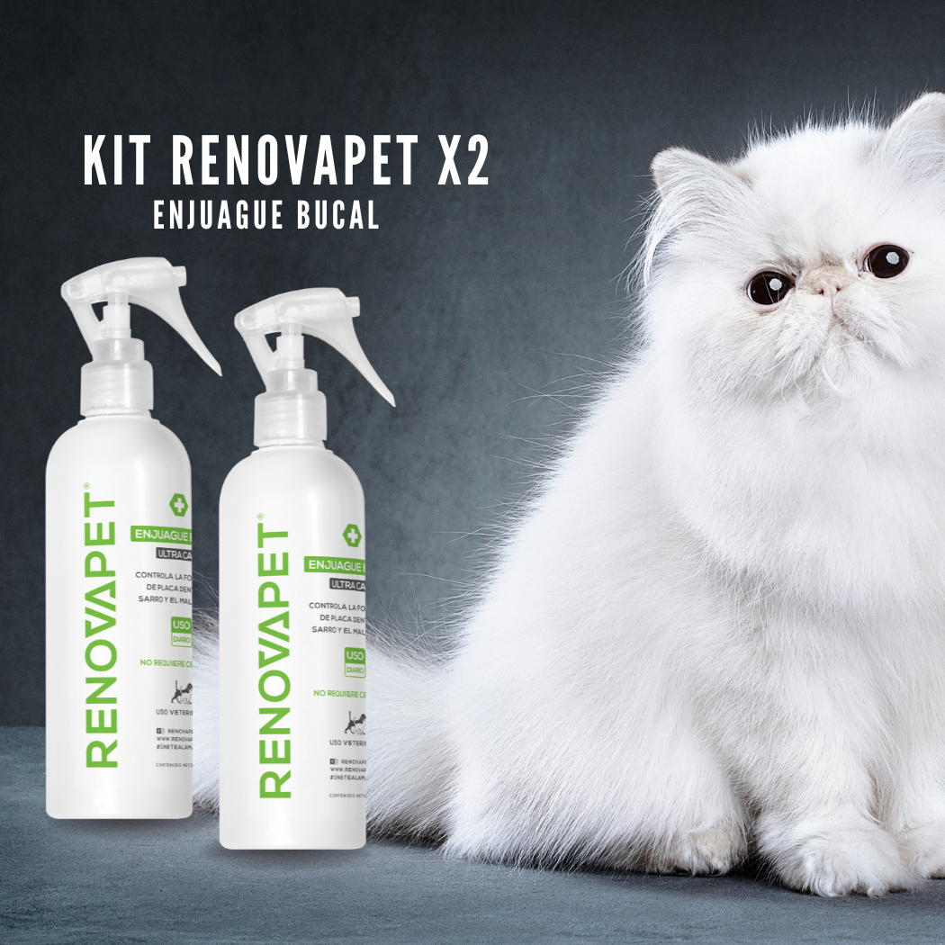 🐾CAT - RENOVAPET 🐱 Adiós Al Sarro 😻