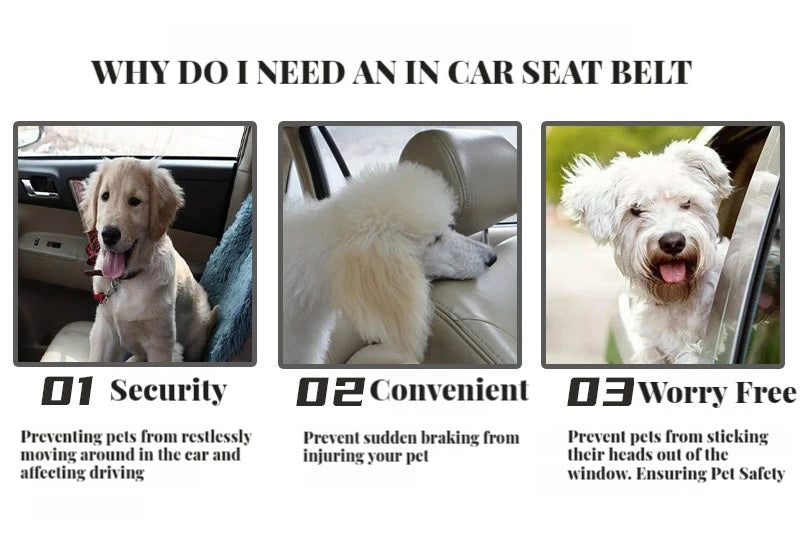 Cinturón de seguridad para perro