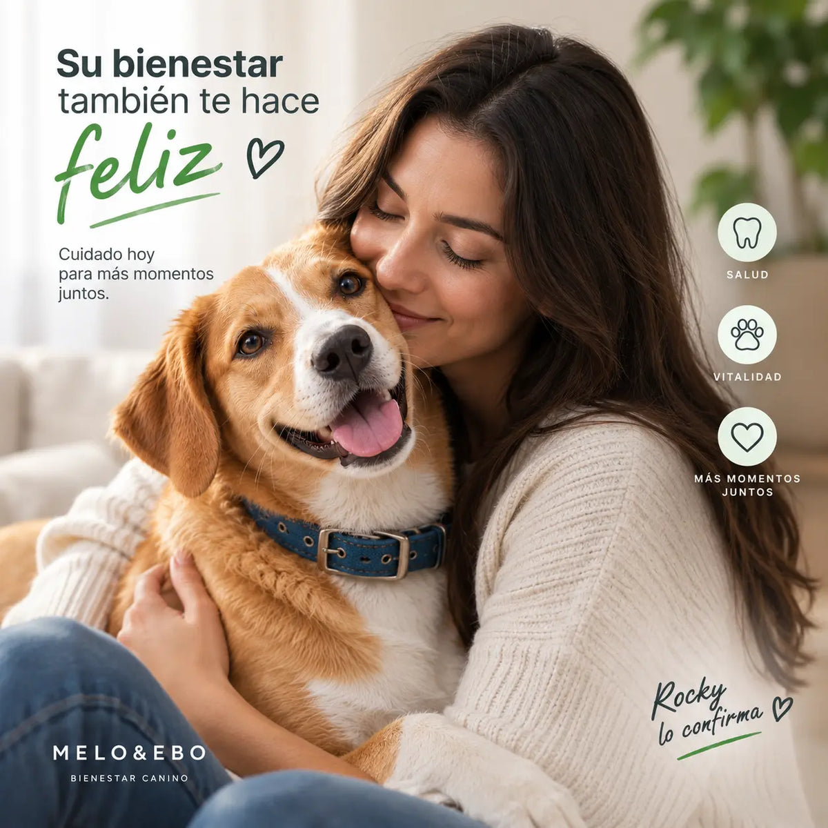 Bienestar para perros con RENOVAPET y MUNGOS para complementar su cuidado diario