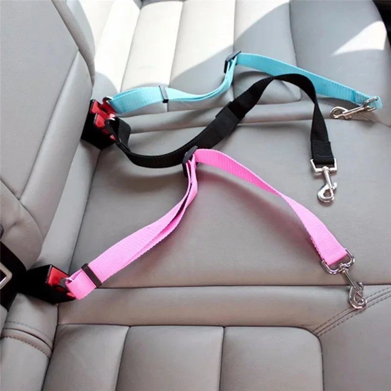 Cinturón de seguridad para perro
