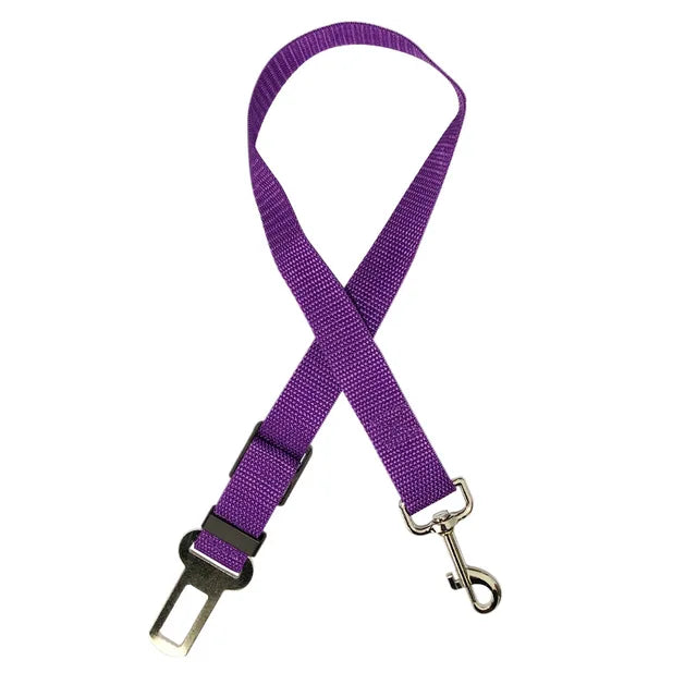Cinturón de seguridad para perro