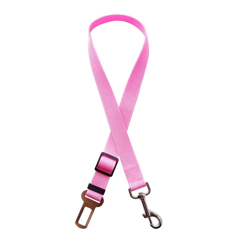 Cinturón de seguridad para perro