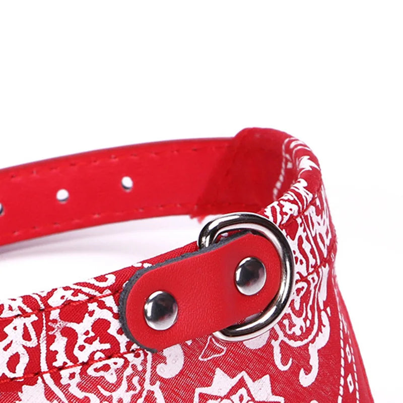 COLLAR AJUSTABLE PARA PERRO