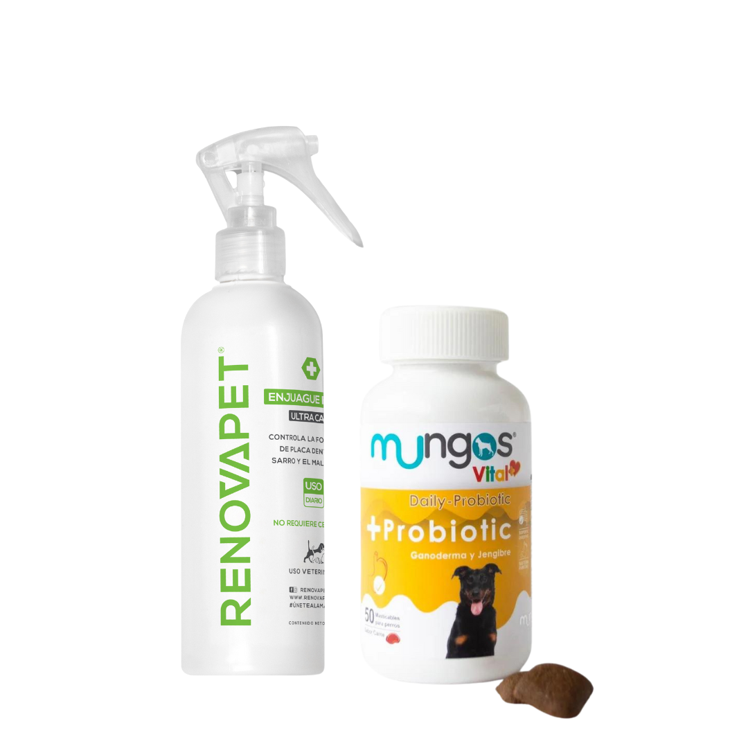 Probióticos para perros - Salud intestinal