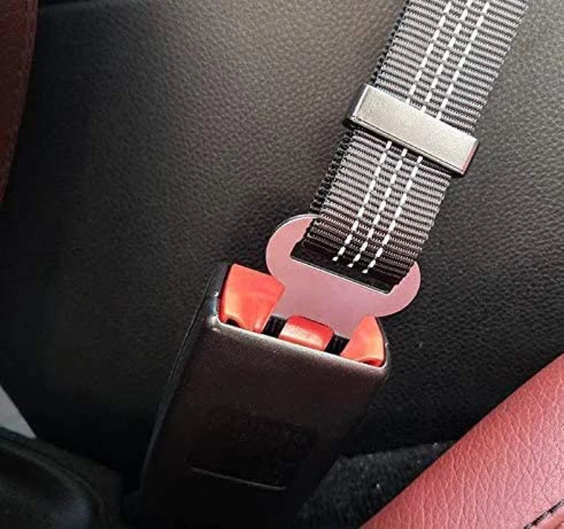 Cinturón de seguridad para perro