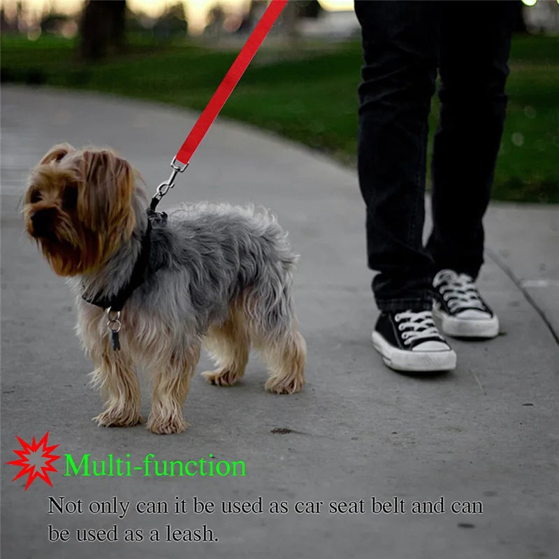 Cinturón de seguridad para perro