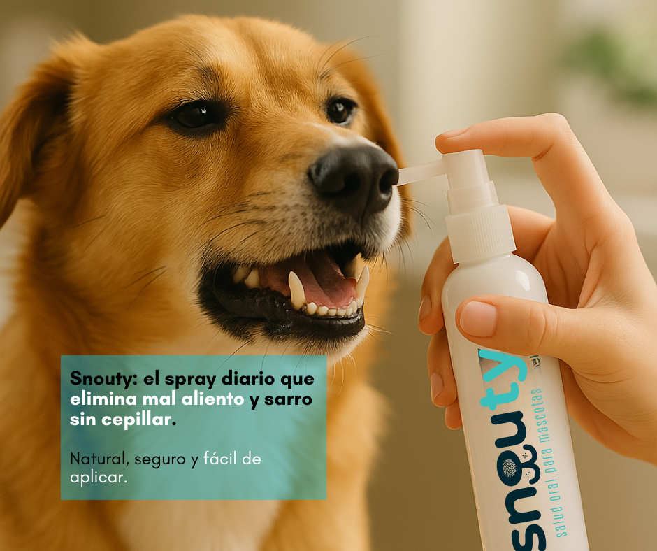 SNOUTY SALUD ORAL MASCOTAS