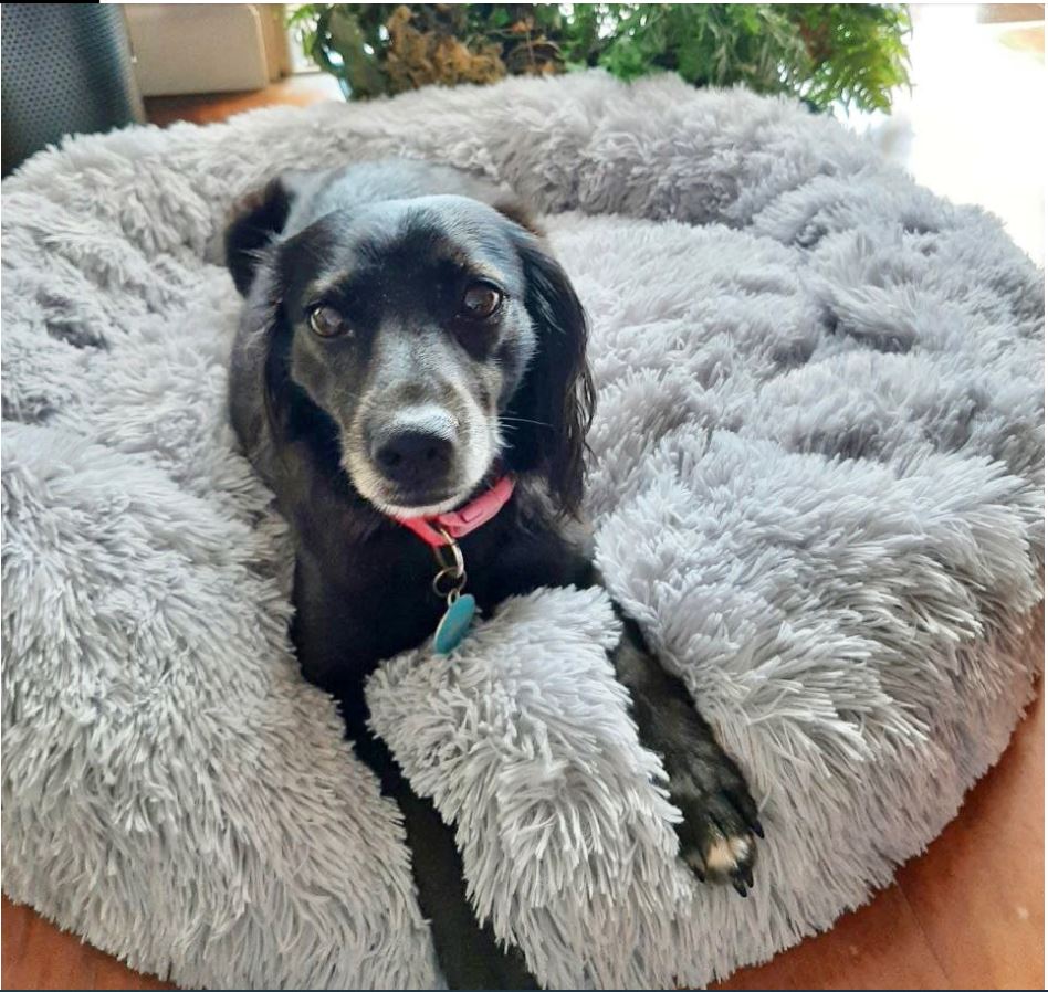 CAMA SUPER SUAVE PARA PERRO Y GATO