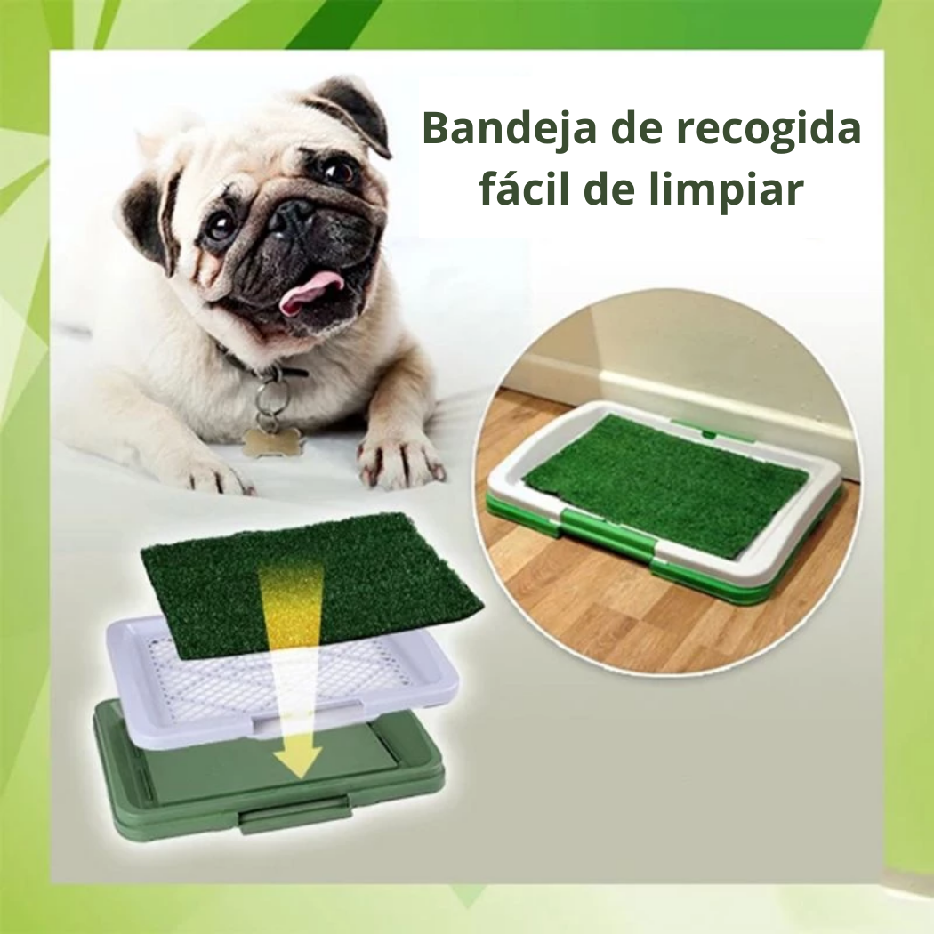 TAPETE ENTRENADOR DE MASCOTAS