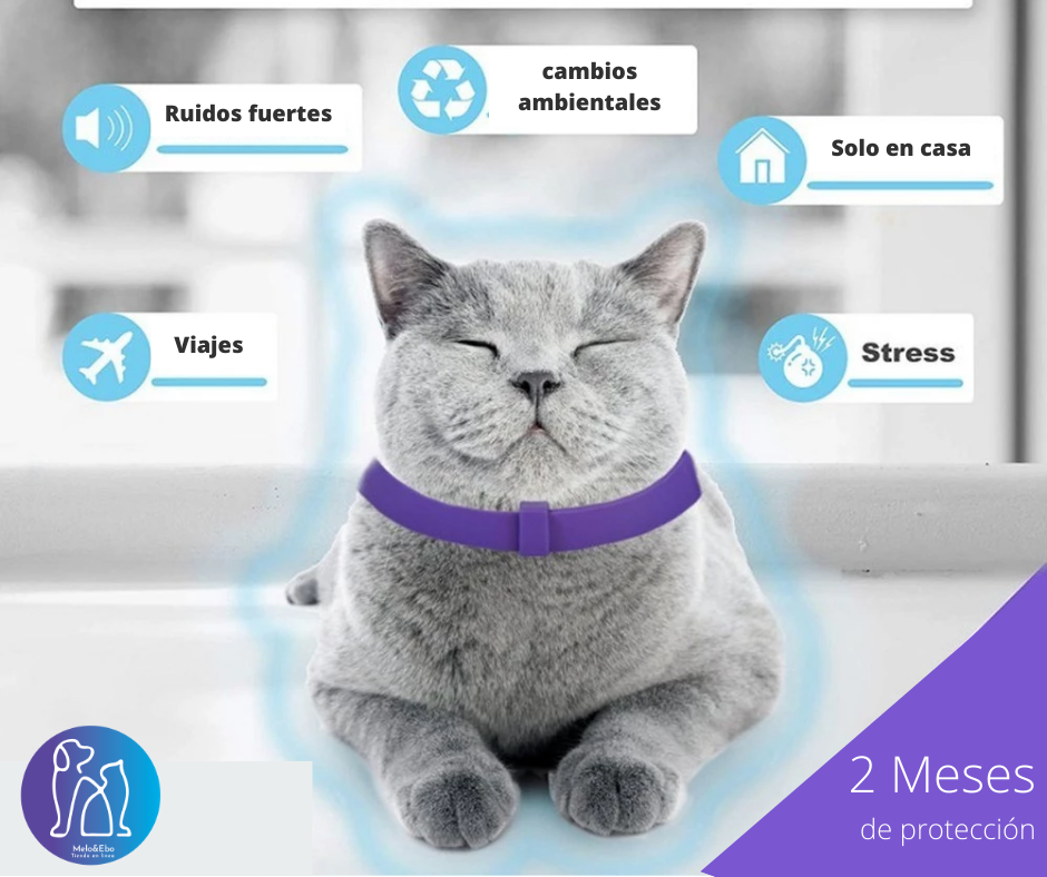 Collar Relajante Calmante Antiestres De Feromonas Para Gatos