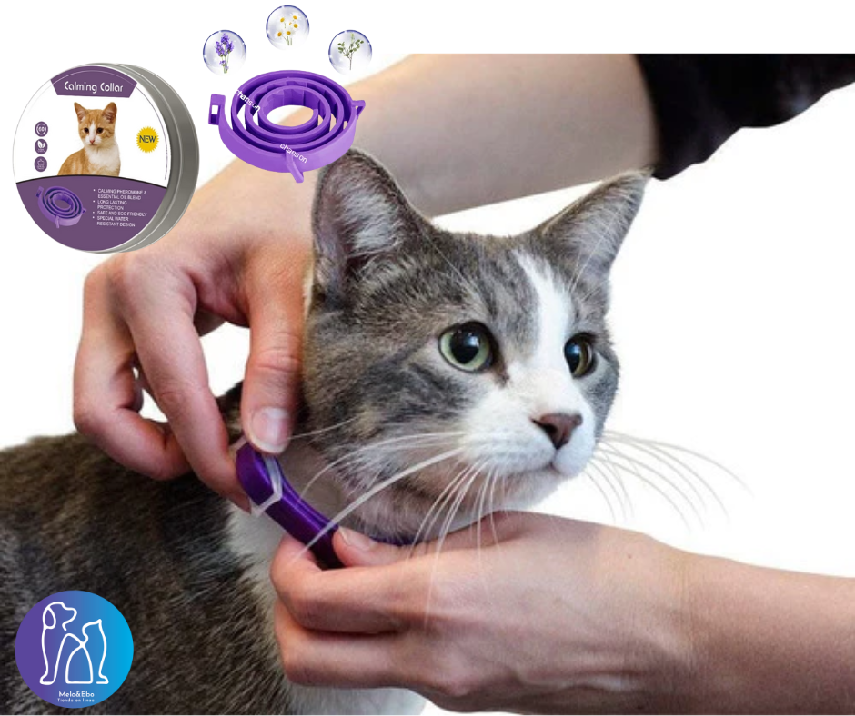 Collar Relajante Calmante Antiestres De Feromonas Para Gatos