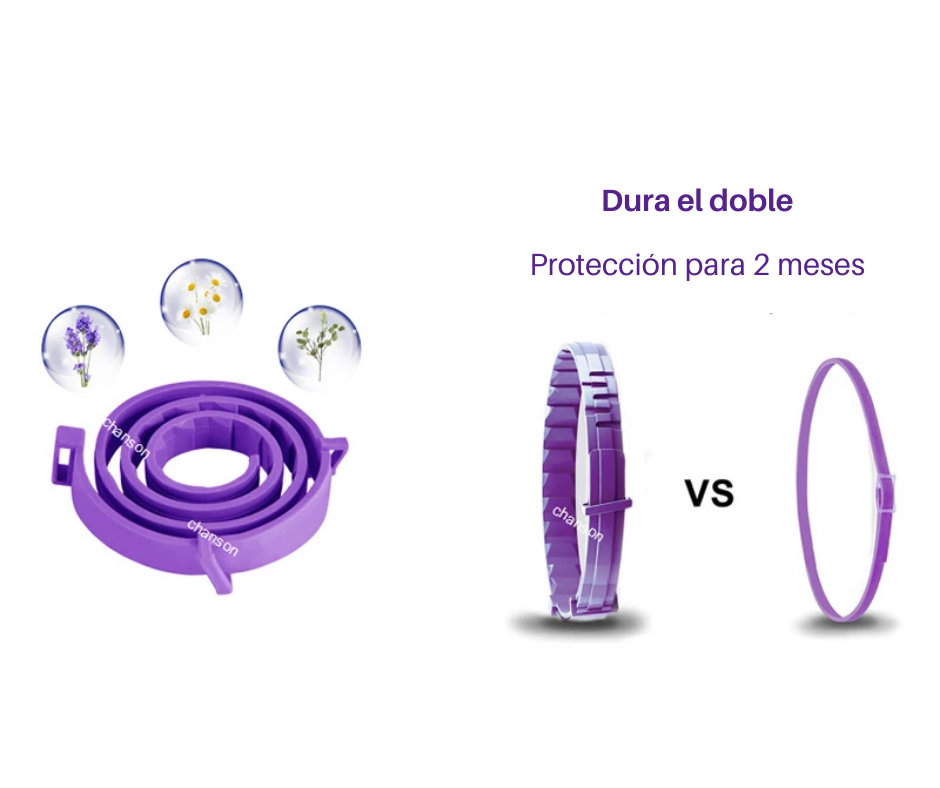 Collar Relajante Calmante Antiestres De Feromonas Para Gatos