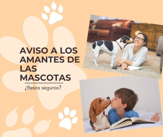 Riesgos de los besos de los perros