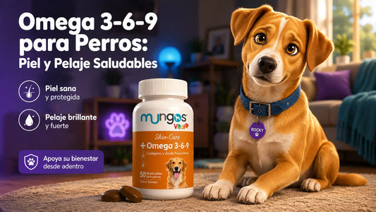 Señales de piel seca y pelaje opaco en perros que indican falta de omega 3