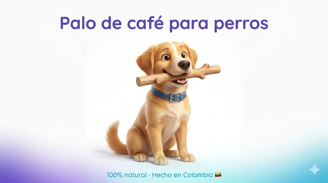 Rocky el perro sosteniendo un palo de café natural masticable para perros