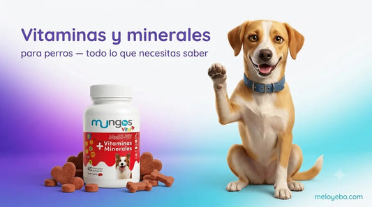 Rocky junto a Mungos Vital Multi-Vit snacks vitamínicos masticables para perros de todas las edades