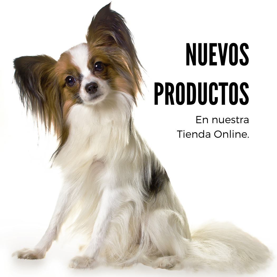 NUEVOS PRODUCTOS