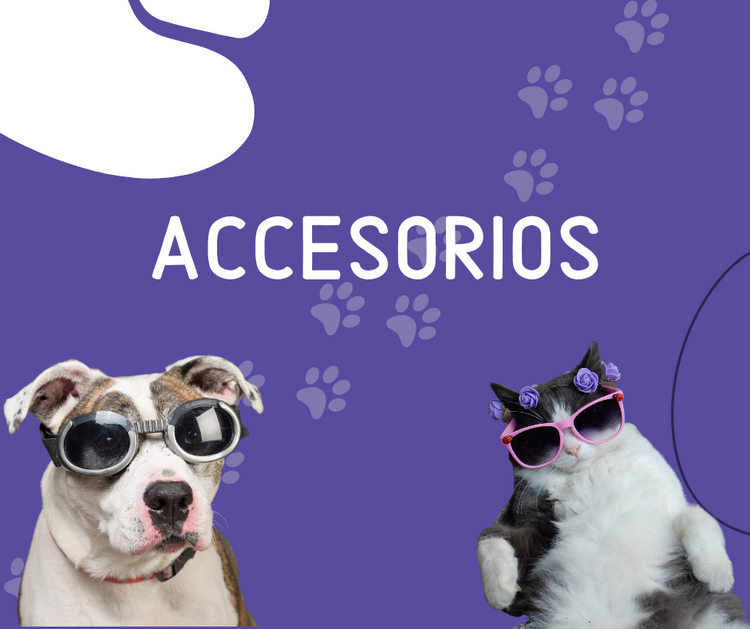 Accesorios