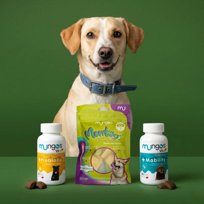 Suplementos y Snacks