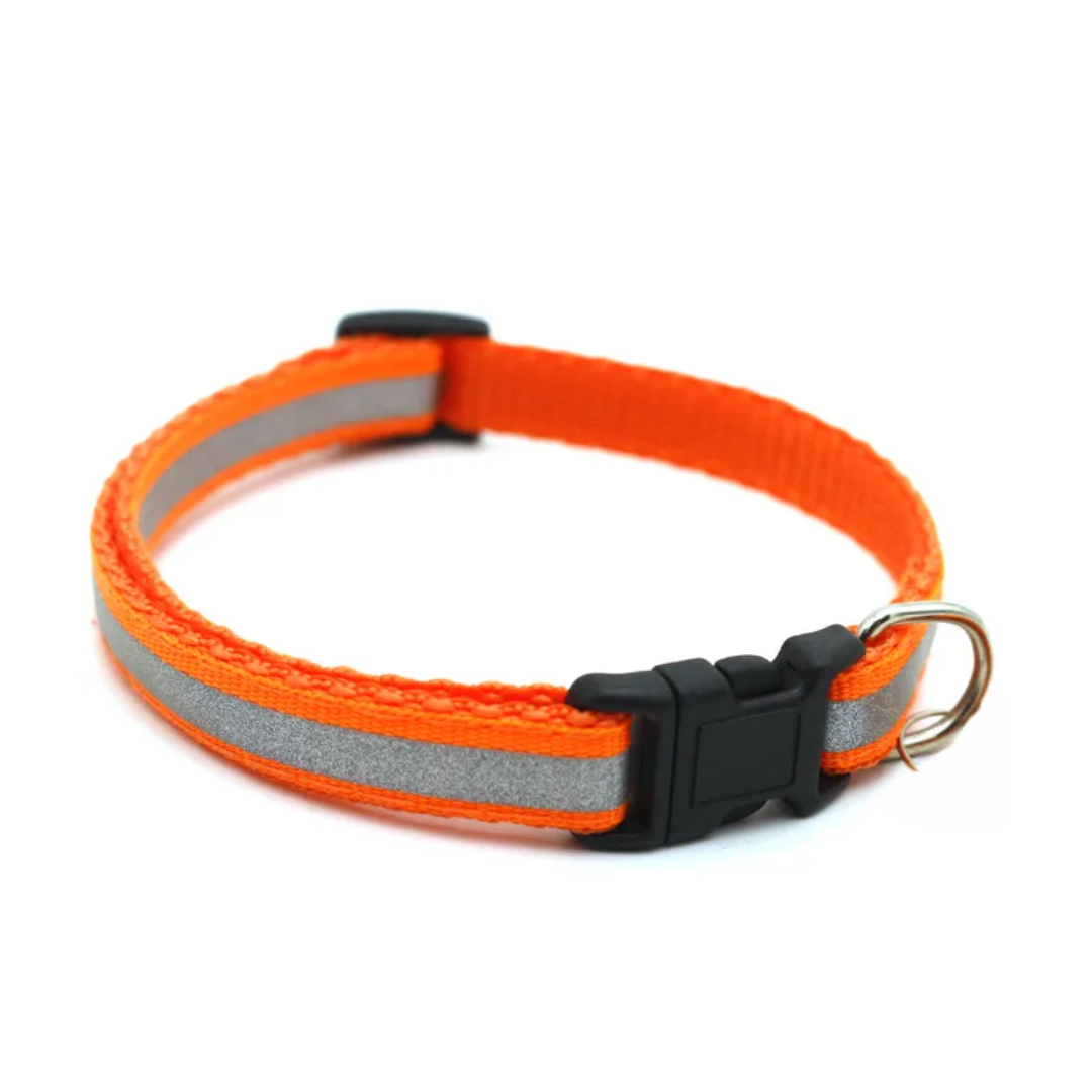 Collar ajustable para perros y gatos