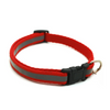 Collar ajustable para perros y gatos