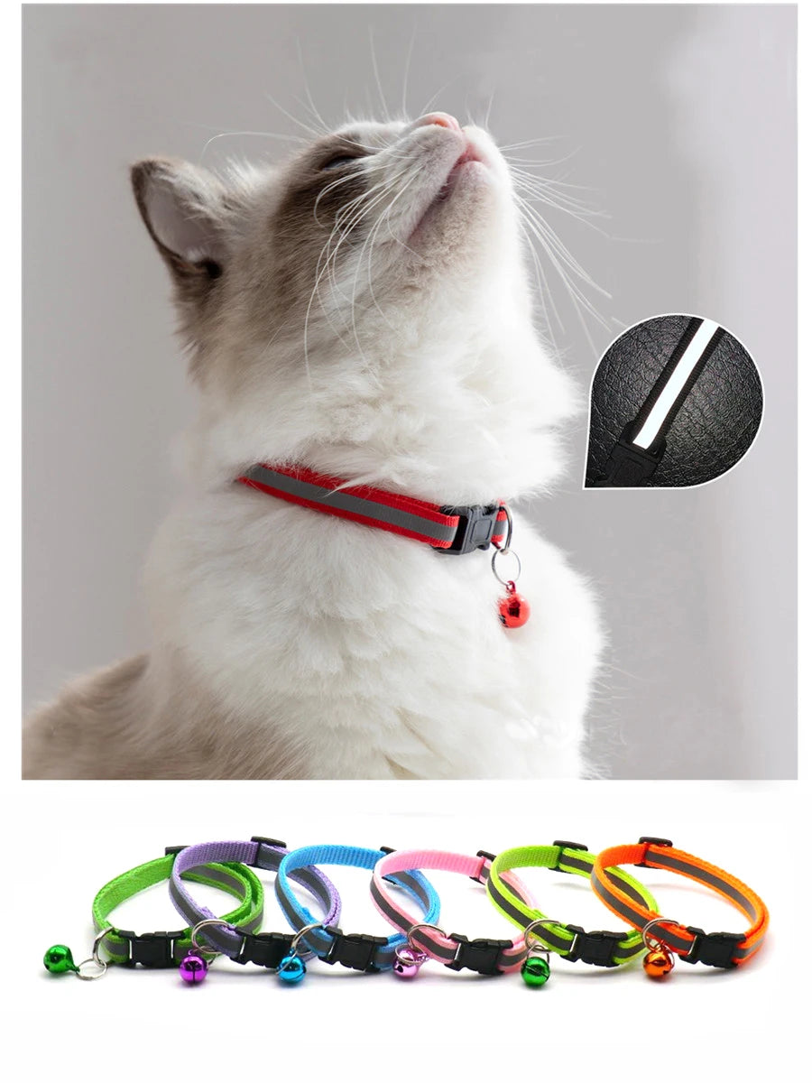 Collar ajustable para perros y gatos