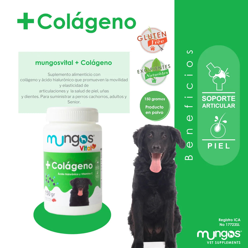 Colágeno y ácido hialurónico para perros