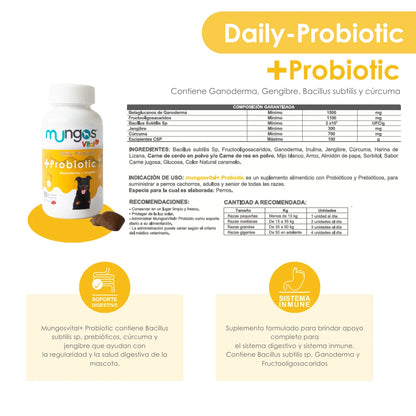 Probióticos para perros - Salud intestinal