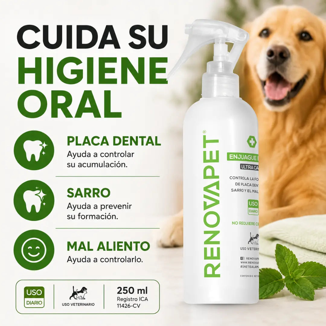 Kit de Bienestar para Perros | RENOVAPET + MUNGOS Omega 3-6-9