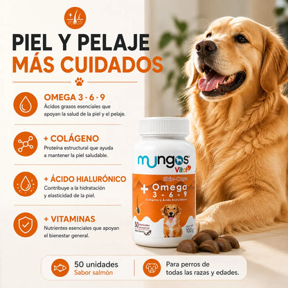 Kit de Bienestar para Perros | RENOVAPET + MUNGOS Omega 3-6-9