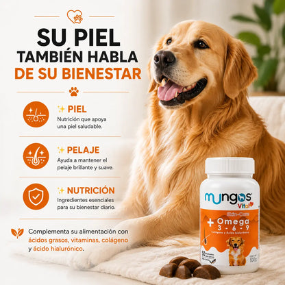 Kit de Bienestar para Perros | RENOVAPET + MUNGOS Omega 3-6-9