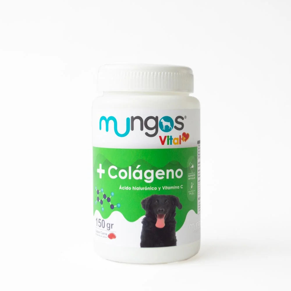 Colágeno y ácido hialurónico para perros