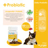 Probióticos para gatos - Salud intestinal x 80 unidades