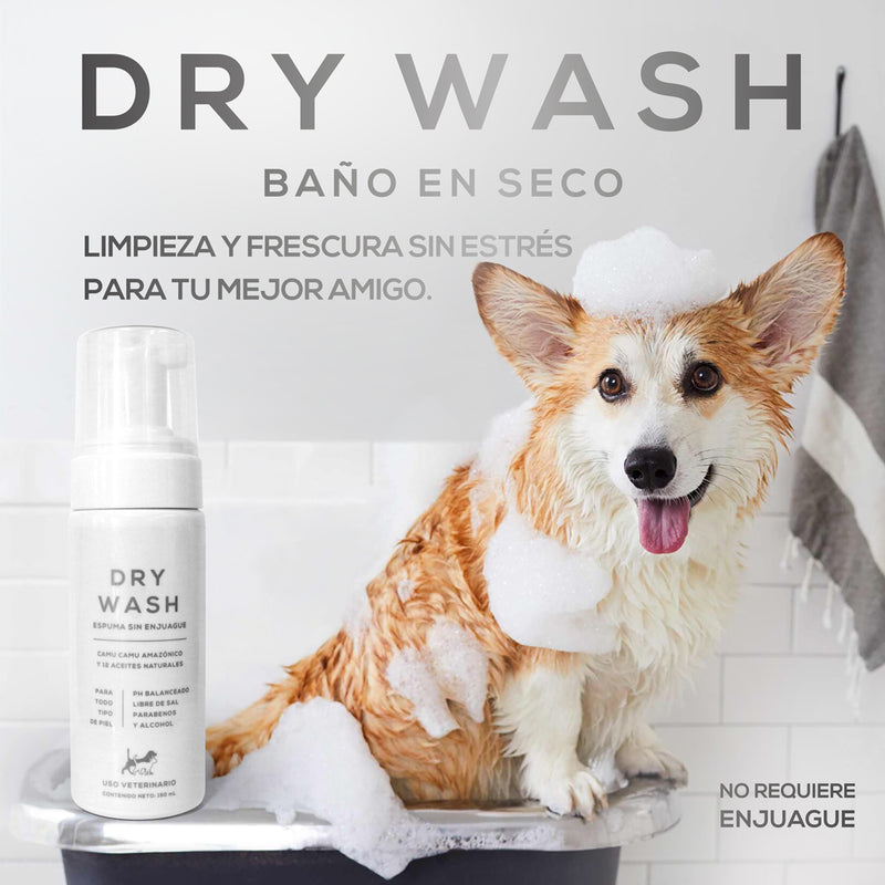 DRY WASH