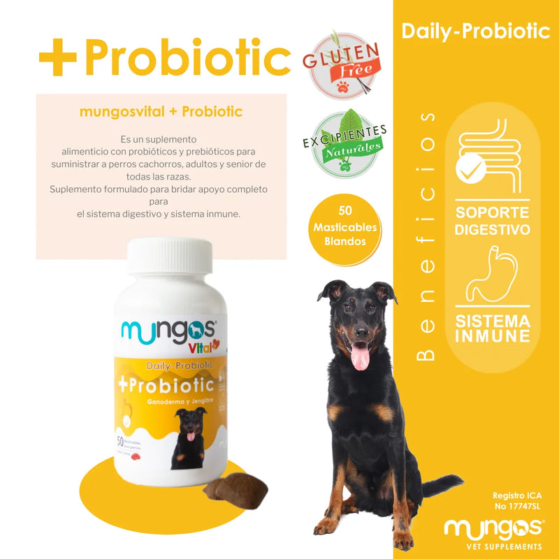 Probióticos para perros - Salud intestinal
