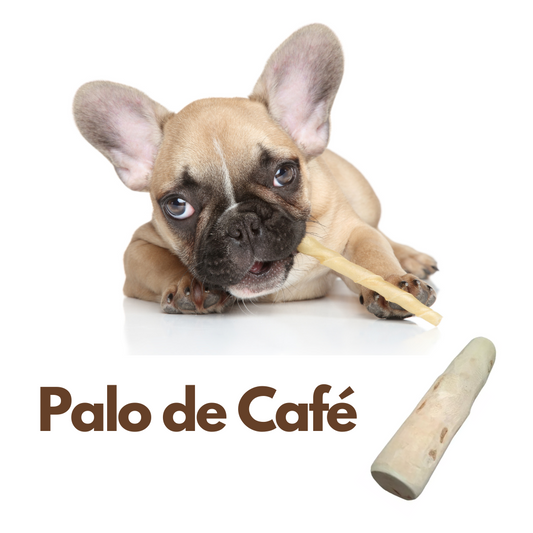 PALO DE CAFÉ