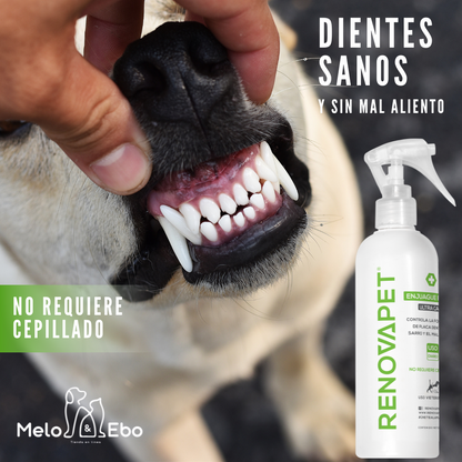 RENOVAPET ADIOS SARRO