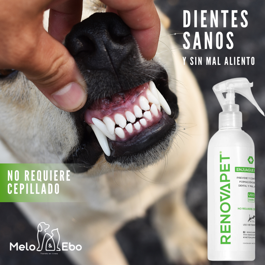 RENOVAPET ADIOS SARRO