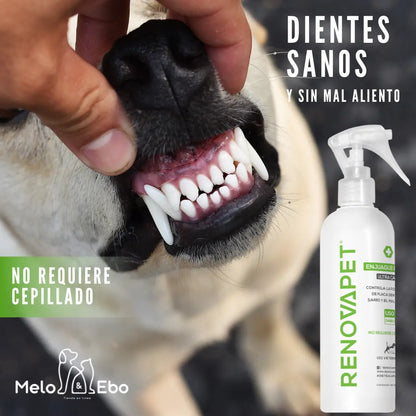 RENOVAPET Spray Bucal para Perros y Gatos | Reduce sarro y mal aliento sin cepillado
