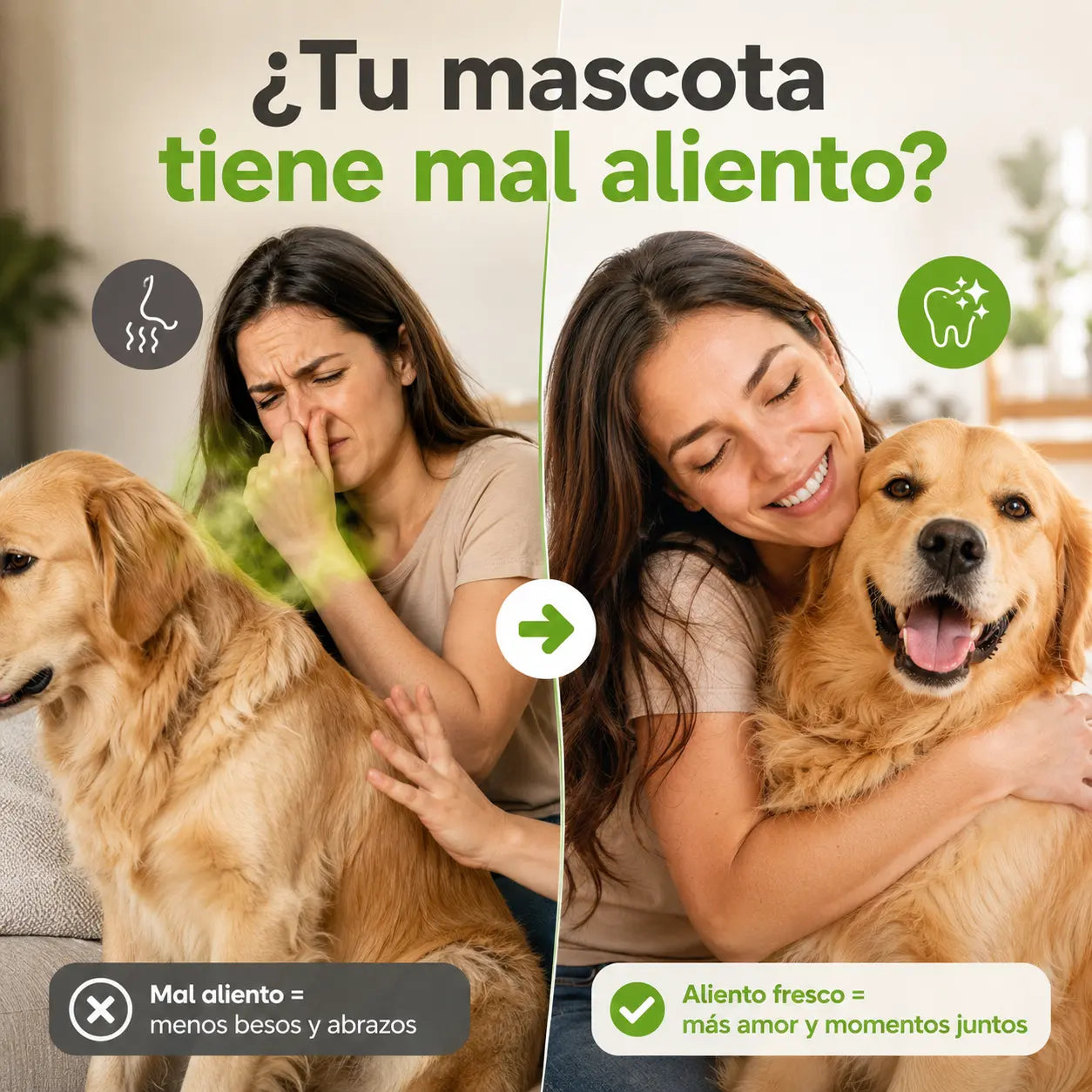 Kit Dental Perros Y Gatos Elimina Sarro Mal Aliento Renovapet + Snacks