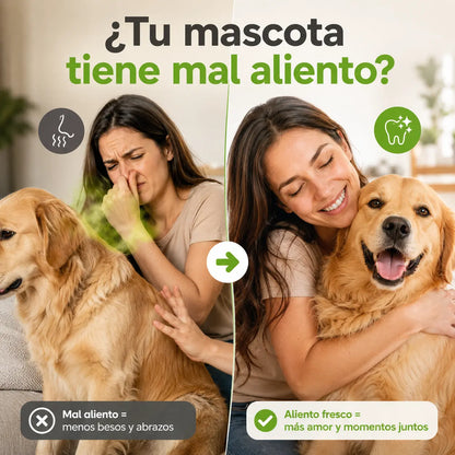 Kit Dental Perros Y Gatos Elimina Sarro Mal Aliento Renovapet + Snacks