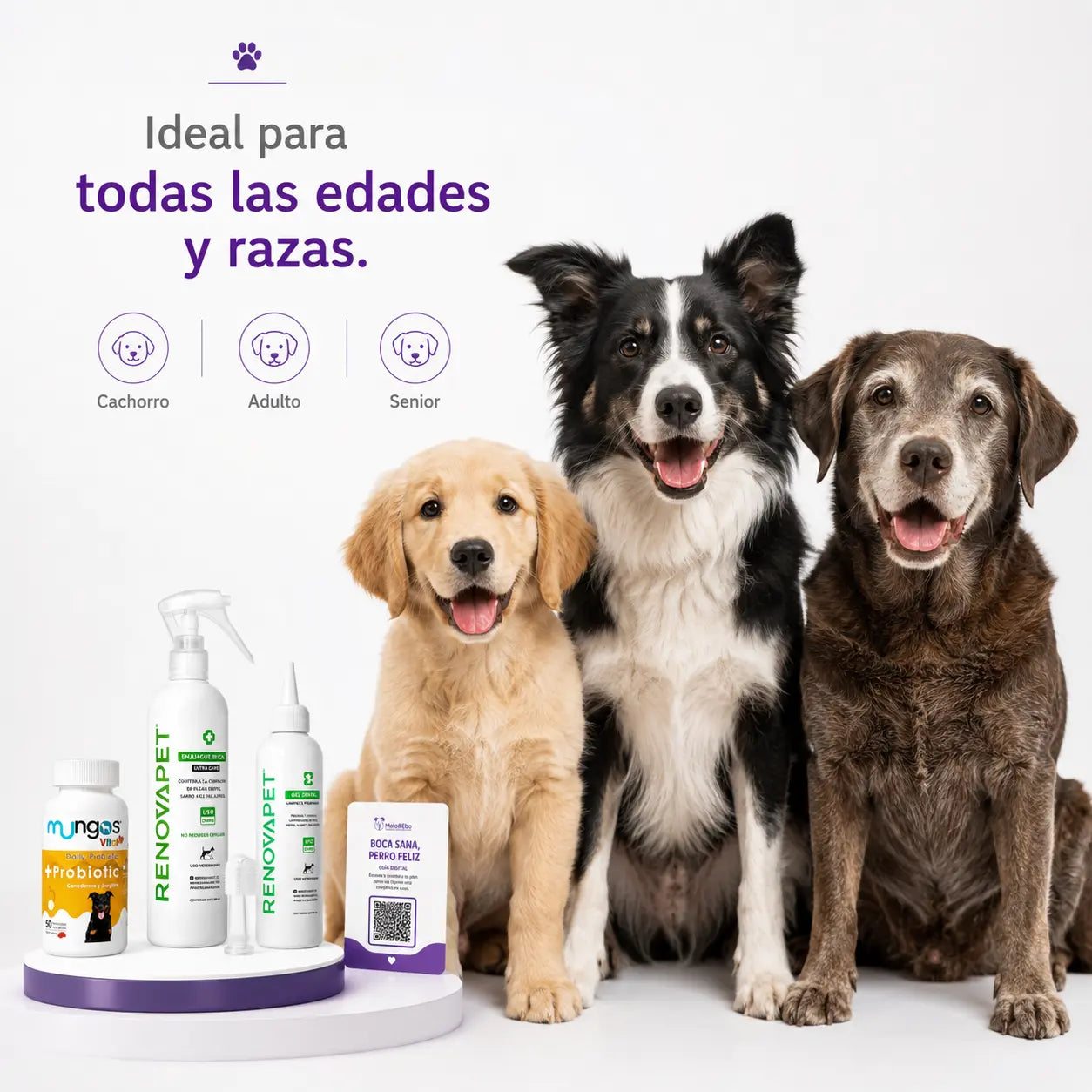 Kit Completo RENOVAPET® para la Salud Oral de Perros