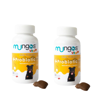 Probióticos para perros - Salud intestinal